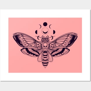 MOON AND MOTH Posters and Art